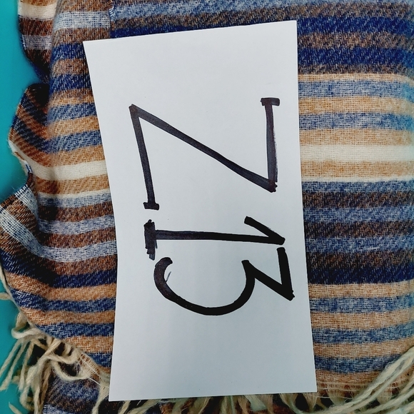 Boutique Tan Black Stripped Winter Cozy Fringe Soft Big Scarf Shawl  Z13 - Picture 6 of 6